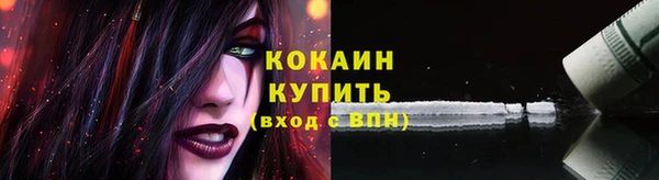 сатива Кодинск