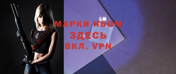 спиды Бородино
