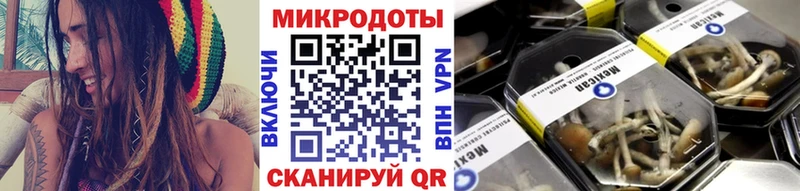 сколько стоит  Верхотурье  Псилоцибиновые грибы Magic Shrooms 